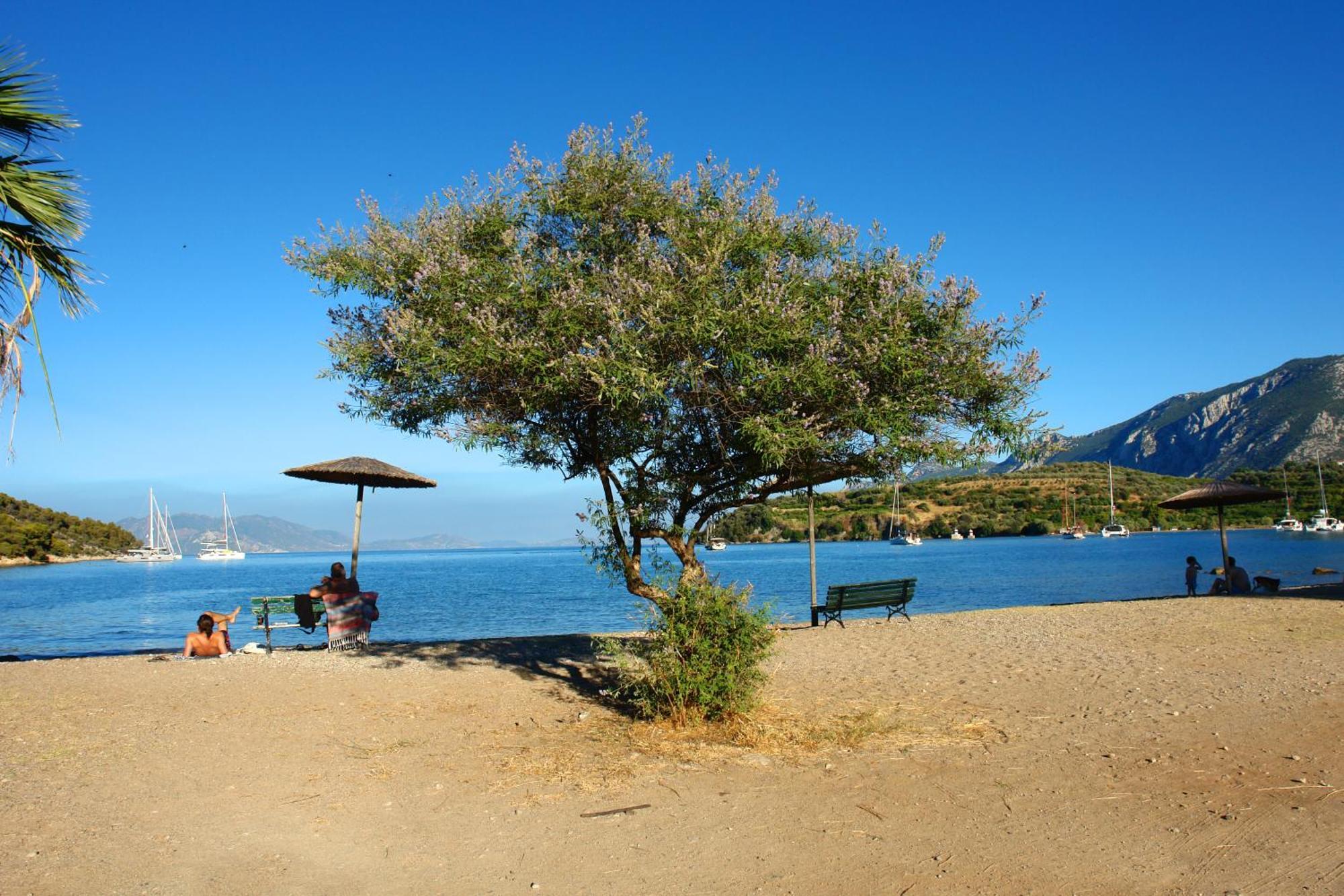 Verdelis Inn Epidaurus Dış mekan fotoğraf